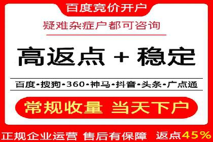 某行业领先企业背后的百度推广代理商策略